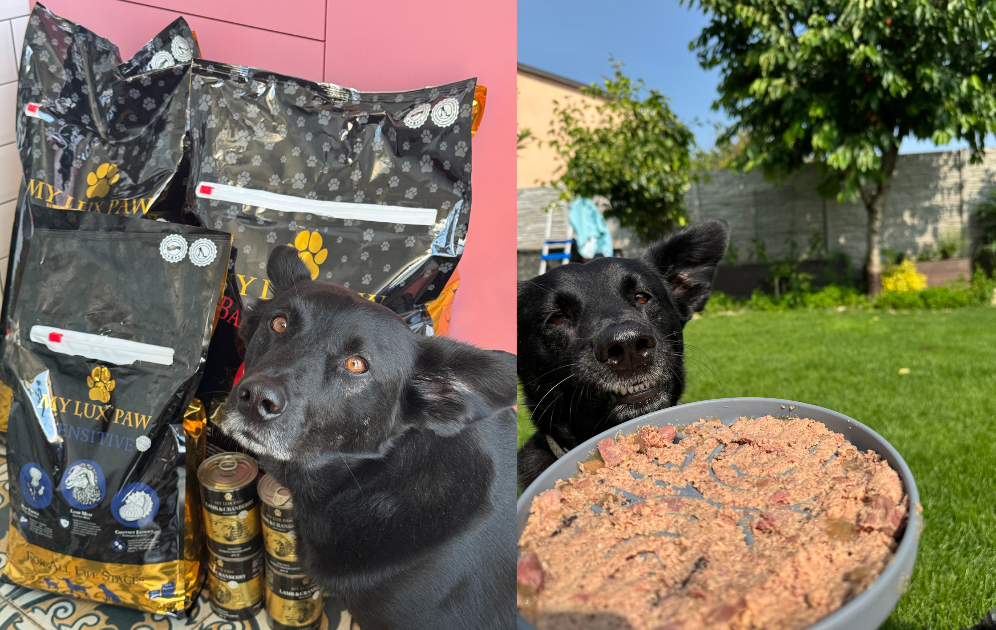 my lux paw pomalé krmenie